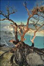 Ijen