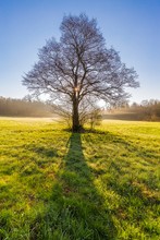 Vorfrühling