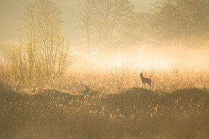 Sonnenaufgang