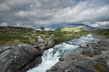 Dovrefjell