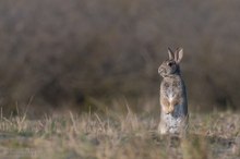 Wie wird das Wochenendwetter?