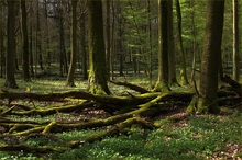 Endlich Frühling