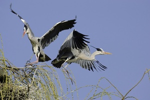 Flugverkehr