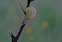 gefährliche strecke