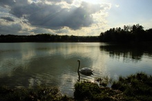 Maiabend am Großen Ostersee