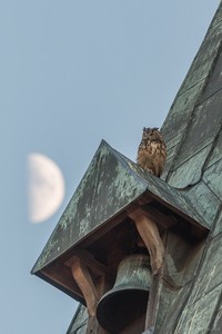 Der Glocken Wächter