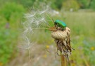 Das gibts doch jetzt gar nicht, .... der Schirm hier klemmt .....     ;-)