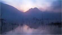 Die Nebelfee  morgens am Teich