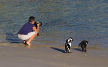 Fotografen sind echt lästig