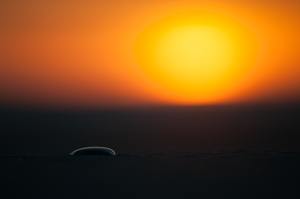 ~ Trockengef(qu)allen ~