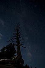 Bryce Canyon bei Nacht