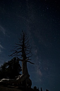 Bryce Canyon bei Nacht