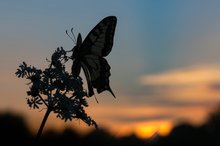 Spätsommer