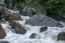 Der Wildbach rauscht wieder