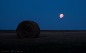 Partielle Mondfinsterniss