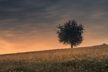 Dramatischer Sonnenaufgang