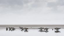 Schietwetter im Limi-Paradies