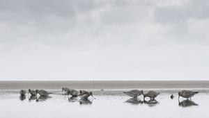 Schietwetter im Limi-Paradies
