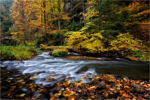 ~ Herbstfarben ~