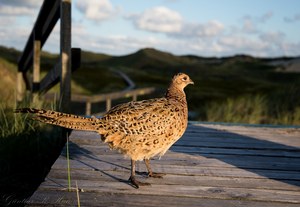 Eine wunderschöne Insel