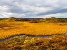 Herbst im Fjell