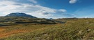 Frühherbst am Borgafjäll