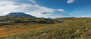 Frühherbst am Borgafjäll