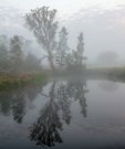 Doppelgänger im Morgennebel