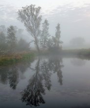 Doppelgänger im Morgennebel