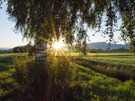 Erste wärmende Sonnenstrahlen