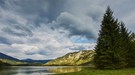 Die Wälder werden immer bunter und die Nächte länger.