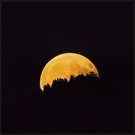 Vollmond