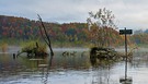 Zerstöre nicht die Natur – füttern schadet den Wasservögeln und den See!