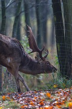 In Anlehnung an das eindrucksvolle Foto