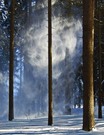 Sonnenstrahlen im Schneestaub