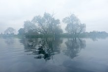 Weil mein Trebelfoto mit Klappbrücke....