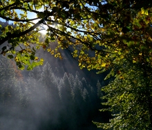 Frühherbstimpression