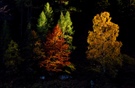Im allerletzten herbstlichen Licht