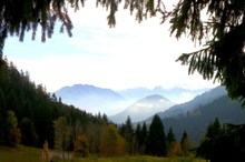 Herbstwald mit Durchblick...