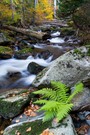 Ilsefälle im herbstlichen Harz