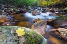 Herbst im Tal der Ilse