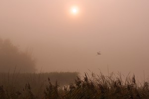 ~ Ein Morgen im Herbst ~