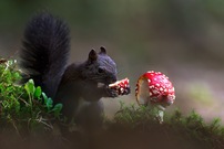 Die rauschende Fete...