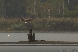 an einem trüben Herbsttag