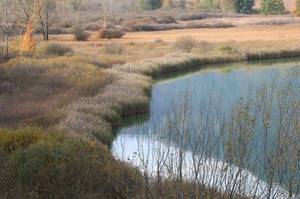 Herbst im Biotop