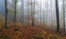 Noch ein schöner Herbsttag