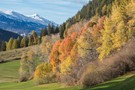 Herbstfeuer