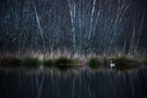 ~Moor-Mystik~