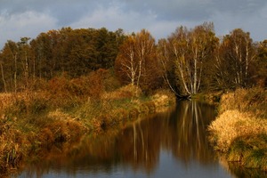 Herbst am Fließ