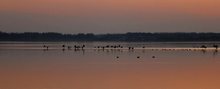 Abendstimmung am See